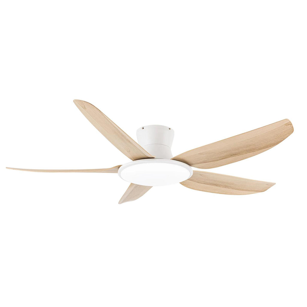 Fanco Rito Plus DC Ceiling Fan – Mega Discount Store