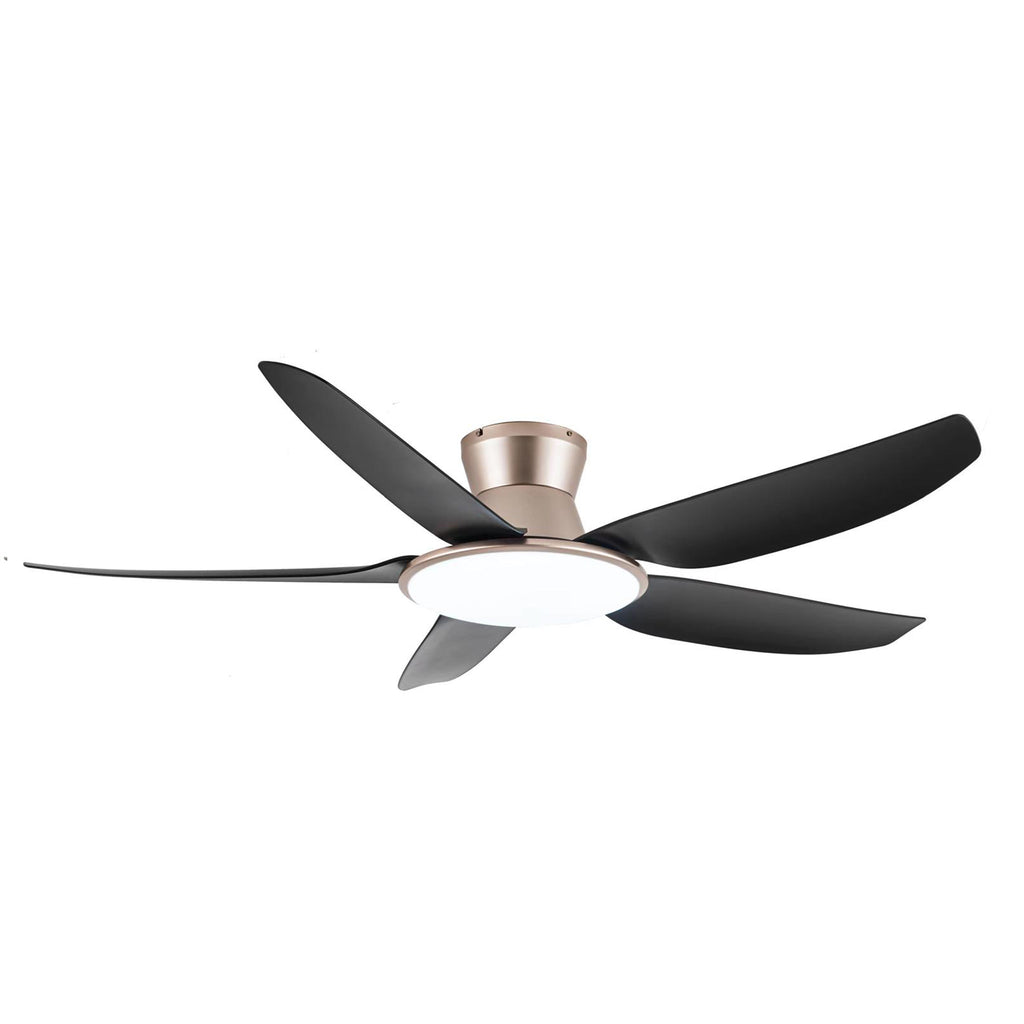 Fanco Rito Plus DC Ceiling Fan – Mega Discount Store